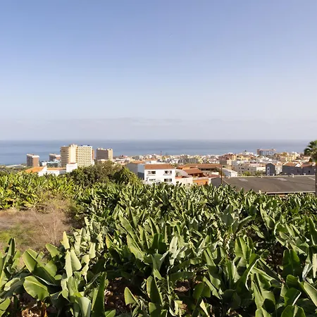 Ferienhaus Barreto By Interhome Puerto de la Cruz (Tenerife)
